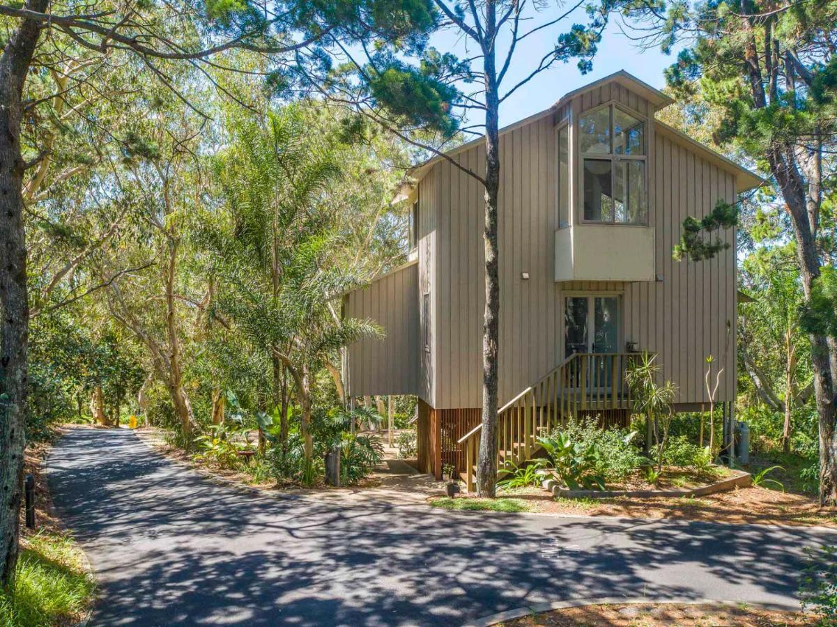 The Oasis Apartments And Treetop Houses Byron Bay Exterior photo