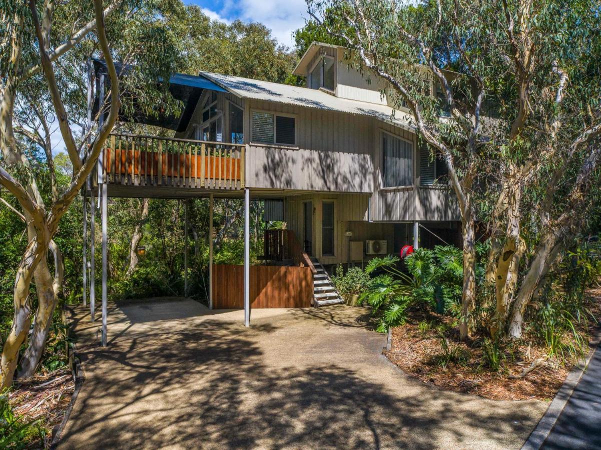 The Oasis Apartments And Treetop Houses Byron Bay Exterior photo