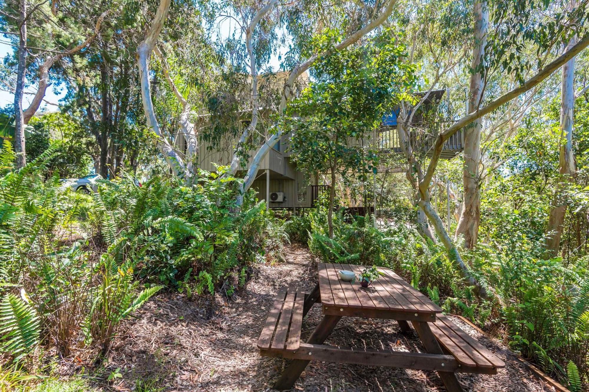 The Oasis Apartments And Treetop Houses Byron Bay Room photo